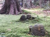 fc92cbcc.jpg