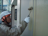 ���Ÿ�T��š��������