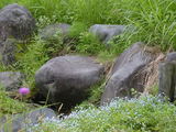 0080b36a.JPG