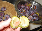 08138ab2.JPG