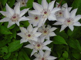 092b1b05.JPG