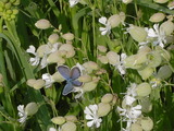 0e352a66.JPG