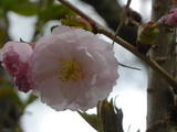 0ec54316.JPG