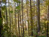 0f65d46b.JPG