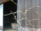 10148d85.JPG