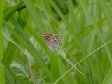 143242f9.JPG