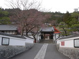 14d752e0.JPG