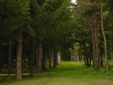 15a49e03.JPG