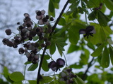 209f0554.JPG