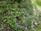 21c621a8.JPG