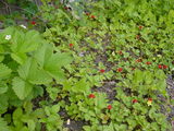 28b9f897.JPG