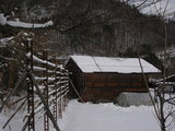 2d2454c2.JPG