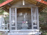 2fff1103.JPG