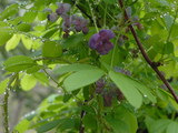348b16a6.JPG
