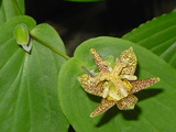 3c492b77.JPG