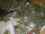 3c9479e5.JPG