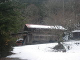 3e8536c6.JPG