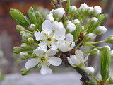 3e9207b8.JPG
