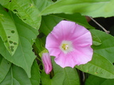 4088cd0e.JPG
