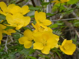 41a7f51c.JPG