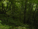 4390c262.JPG