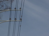 44253029.JPG