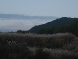 4a52d845.JPG