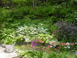 4c5b8620.JPG