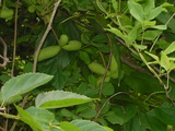 546be189.JPG