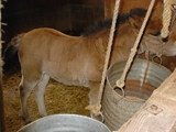 5786339f.JPG