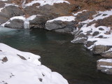 5995b947.JPG