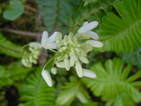 5c3d2f84.JPG