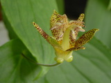 621d8a55.JPG
