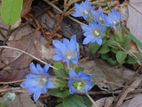 64186d20.JPG