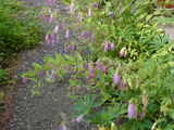 649f6d37.JPG