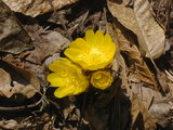 64c19a3f.JPG