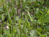 6f72f776.JPG