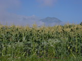 7156b6f6.JPG