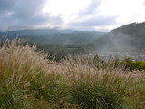 7557b7b6.JPG