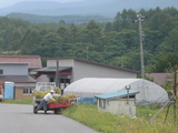 782e83e6.JPG