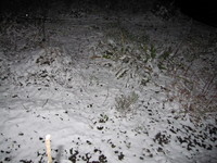 IMG_0809
