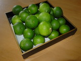 8643f817.JPG