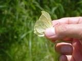 86f586a3.JPG