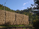 8755f800.JPG