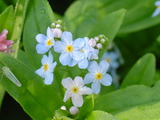 8c29a57b.JPG