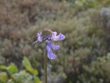 93c91d07.JPG