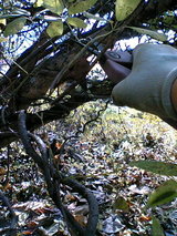 967d799a.JPG