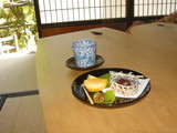 97563a77.JPG