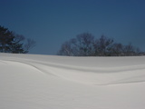992549df.JPG