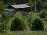 99c41335.JPG